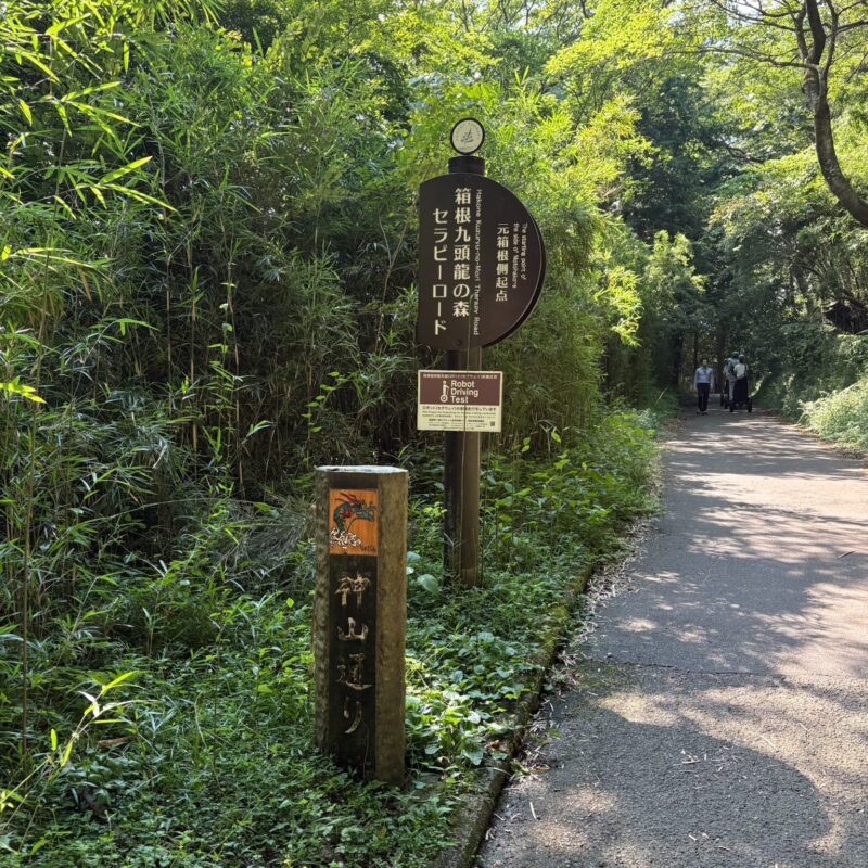 箱根九頭龍の森セラピーロード入口